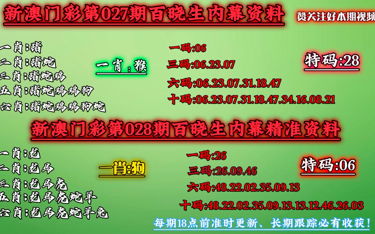 新澳门精准四肖期期中特公开，实用释义、解释与落实