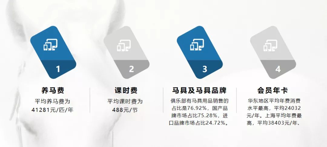 最新马会报告，探索马术运动的发展与未来趋势